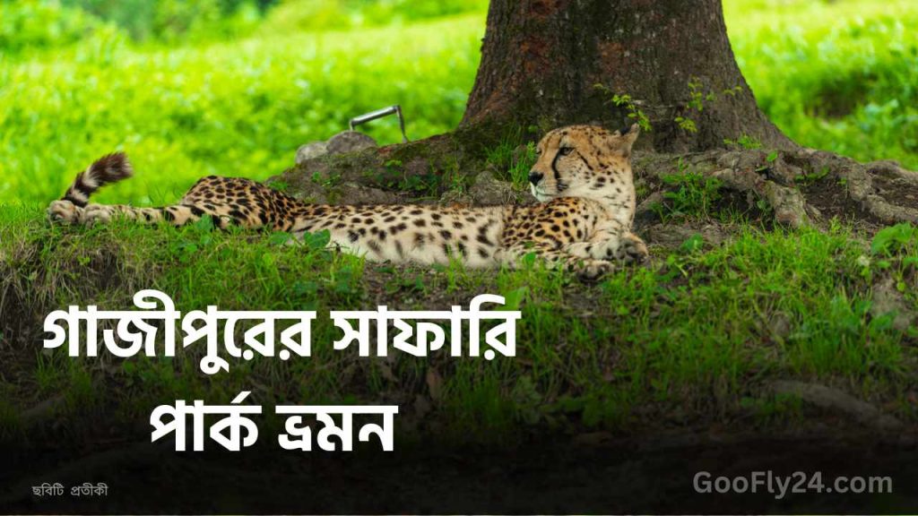 গাজীপুরের সাফারি পার্ক