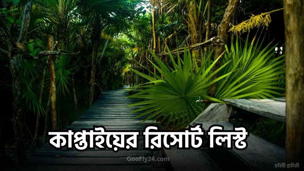 কাপ্তাই রিসোর্ট