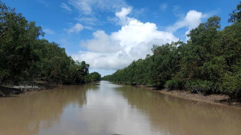 চর কুকরি মুকরি