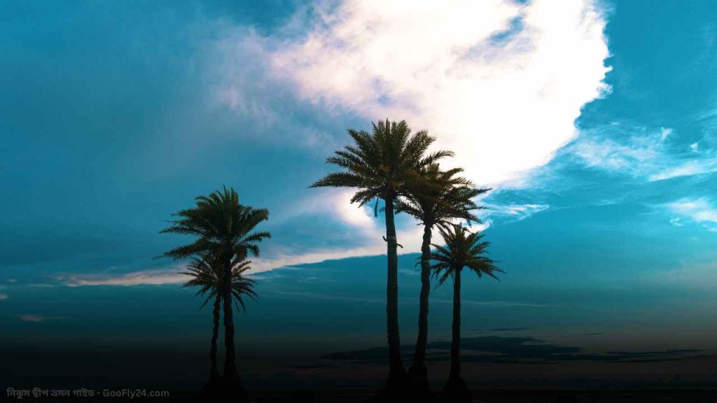 নিজুম দ্বীপ