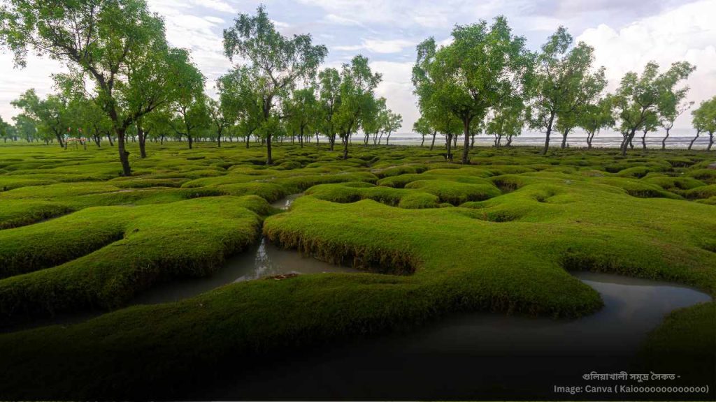 গুলিয়াখালী সমুদ্র সৈকত