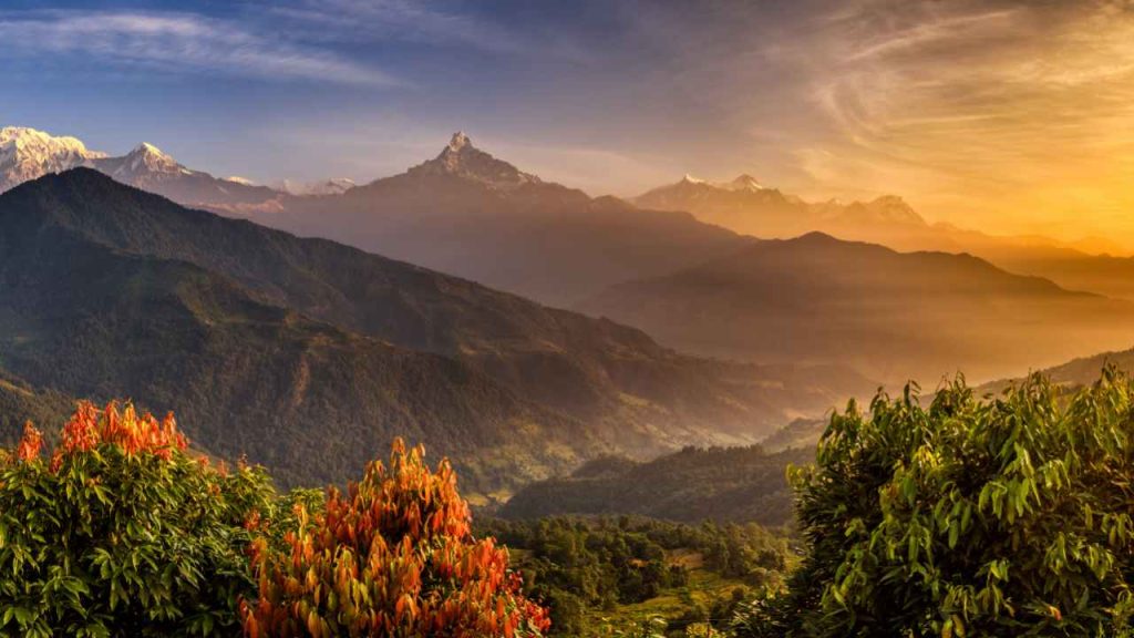 শুভ সকাল এসএমএস ও ছবি