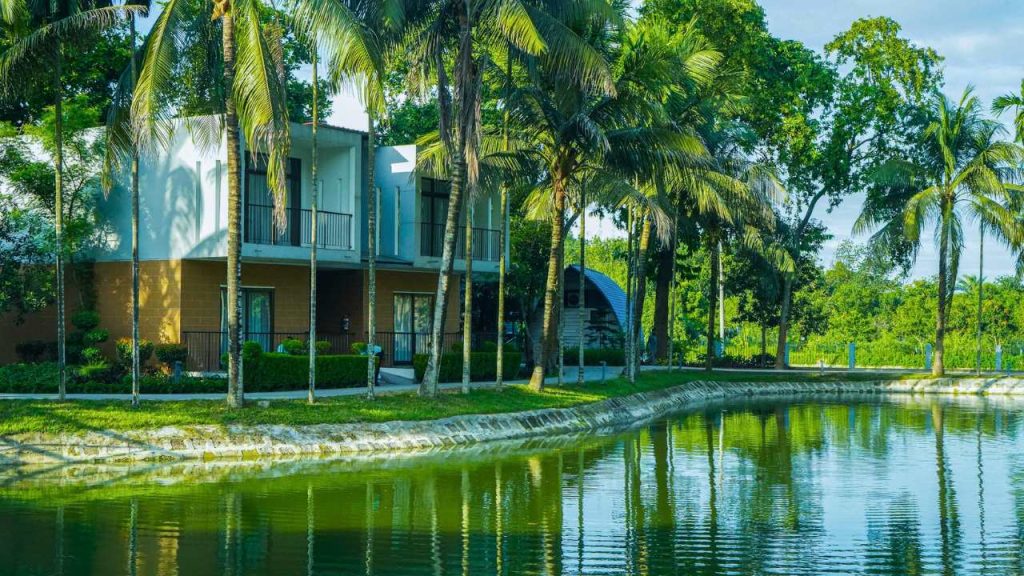 ড্রিম স্কয়ার রিসোর্ট তথ্য